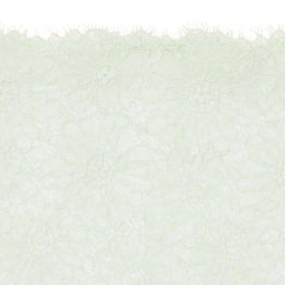 VS S NWT High-Rise Thong Panty Pale Sky Gray Floral Lace Scalloped Edges Daisies - Picture 13 of 15